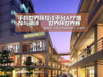 案例展示一(图1)