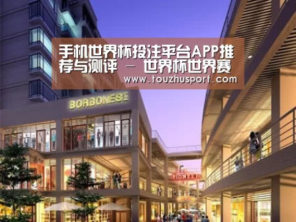 案例展示一