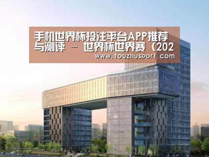 案例展示四