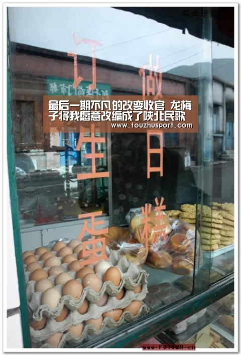 最后一期不凡的改变收官 龙梅子将我愿意改编成了陕北民歌“世界杯投注平台”(图1) 投注app