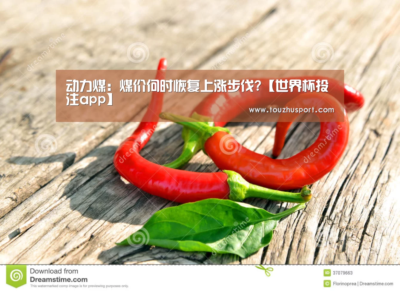 投注app