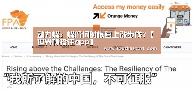 投注app