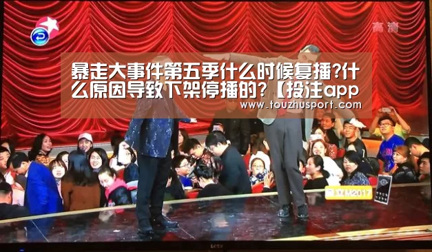 投注app官网