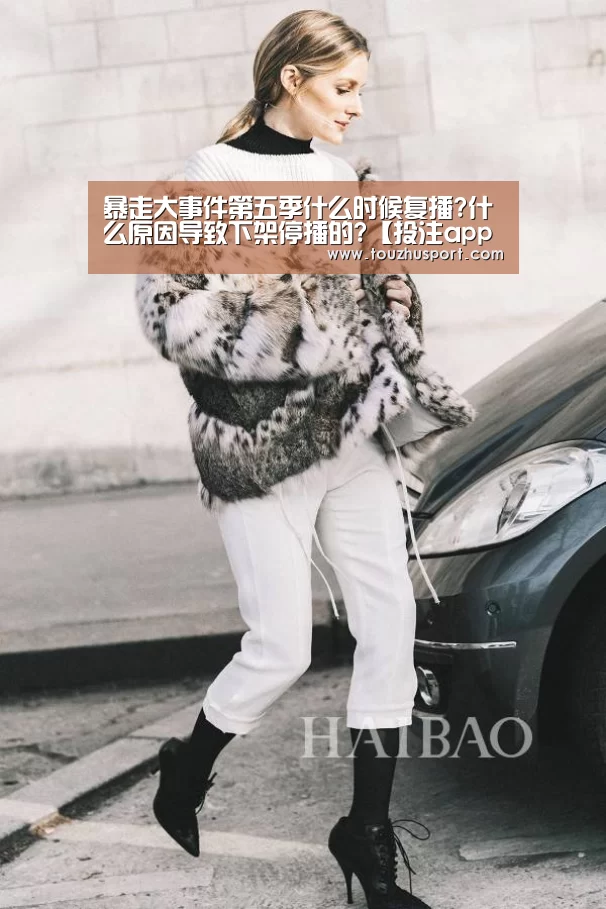 投注app