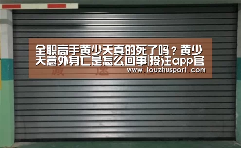 全职高手黄少天真的死了吗?黄少天意外身亡是怎么回事|投注app官网(图1) 投注app官网