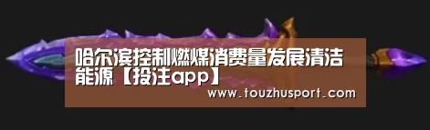 投注app