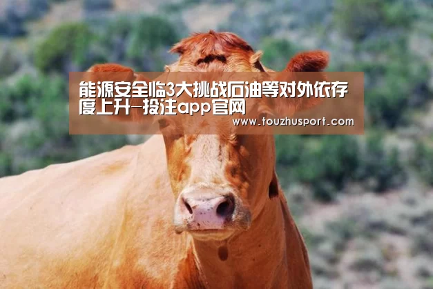 能源安全临3大挑战石油等对外依存度上升-投注app官网(图1) 世界杯投注app