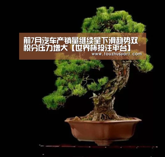 前7月汽车产销量继续呈下滑趋势双积分压力增大【世界杯投注平台】(图2) 世界杯投注app