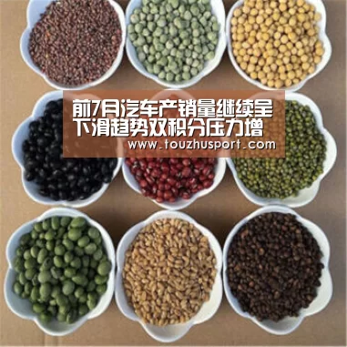 前7月汽车产销量继续呈下滑趋势双积分压力增大【世界杯投注平台】(图1) 世界杯投注app