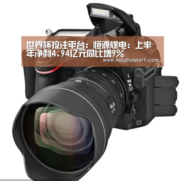 世界杯投注平台:恒源煤电:上半年净利4.94亿元同比增9%(图1) 世界杯投注app