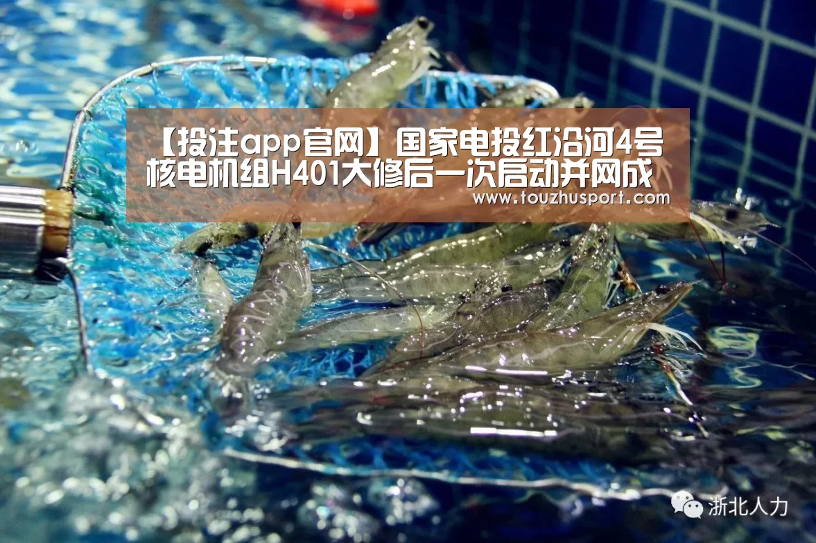 【投注app官网】国家电投红沿河4号核电机组H401大修后一次启动并网成功(图3) 世界杯投注平台